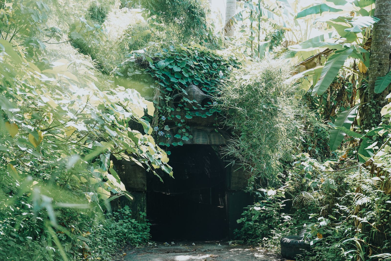 Oricid Cave Tunnel Track